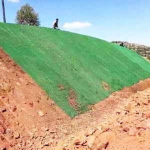 三維植被網(wǎng)護(hù)坡施工現(xiàn)場